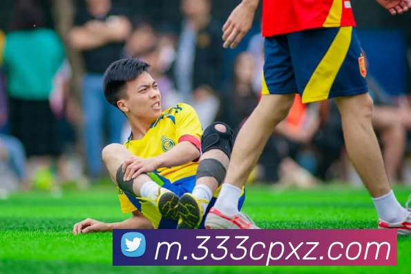 333彩票APP 封面图